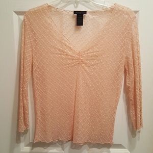 Limited Sheer Ballet Pink Embroidered Top
